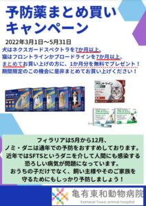 予防薬まとめ買いキャンペーン中！種類についてご説明します！ | 足立 